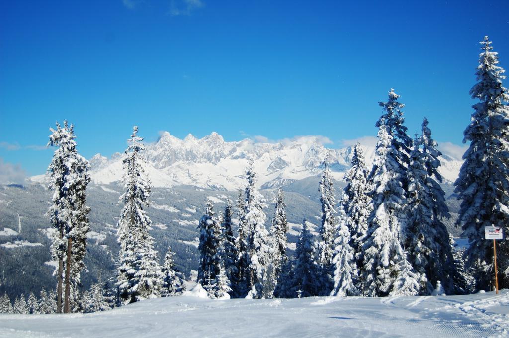 Appartements Am Edthof Eben Im Pongau Bagian luar foto